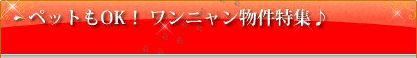 �y�b�g��OK�I �����j�������W