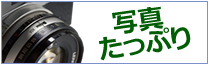 �ʐ^�����Ղ�